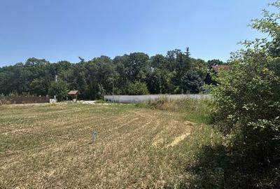 Casă cu 4 camere cu Teren 230 Mp în Snagov - 7