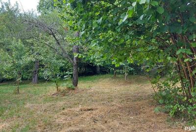 Casă cu 6 camere cu Teren 4500 Mp în Brebu - 4