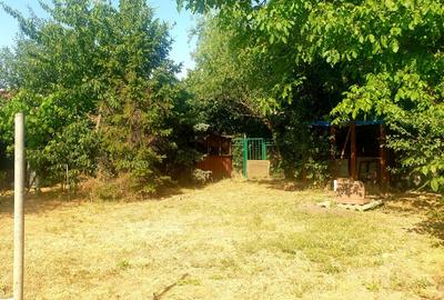 Casă individuală cu 3 camere cu Teren 1400 Mp în Mehala - 6