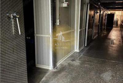 Dumbravita - 120mp - spatiu de depozitare frigorific - 5 incaperi Dumbravita - 120mp - spatiu de depozitare frigorific - 5 incaperi - 3