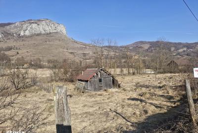 Teren de 2214 mp, în Livezile