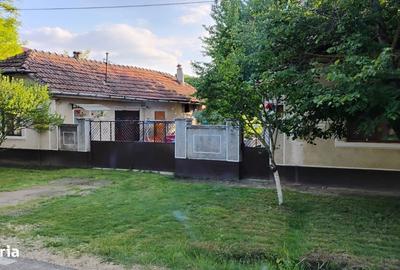 Casă cu 3 camere cu Teren 1000 Mp în Sânmihaiu Român - 6
