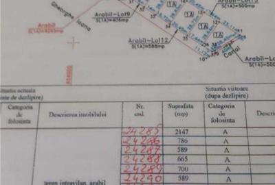 Teren de 600 mp, în Frumușani - 3