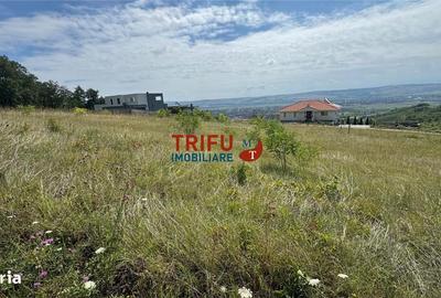 Spațiu comercial, în Cetate - 3