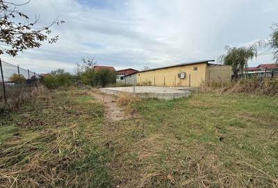 Teren pentru dezvoltare proiect imobiliar Domnesti-Centru - 4