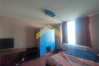 Casă individuală cu 2 camere cu Teren 1501 Mp în Săvârșin - 7