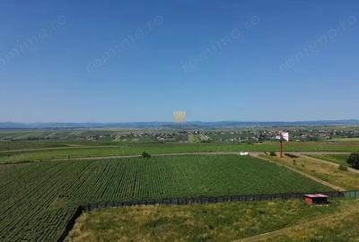 Teren Intravilan 36977 mp E 85 Intrare in Municipiul Suceava! De Vanzare! 0727817187 - 14