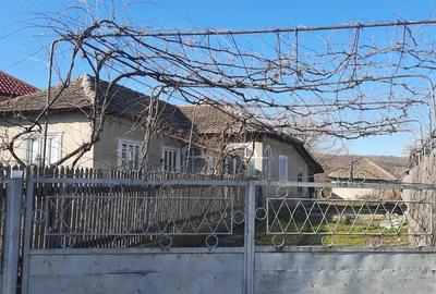 De vanzare casa in sat Raristea De vanzare casa in sat Raristea - 1