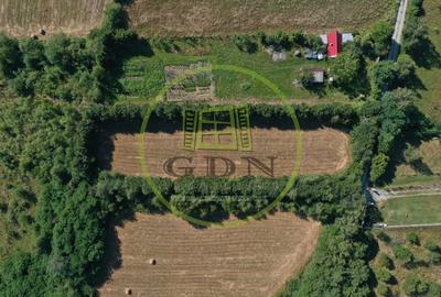 Teren agricol extravilan de 1413 mp, în Exterior Est - 12