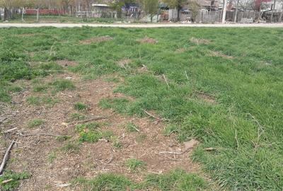 Techirghiol, teren 450mp, 20 m deschidere, str. Pericle Macri colt cu Plantelor - 4