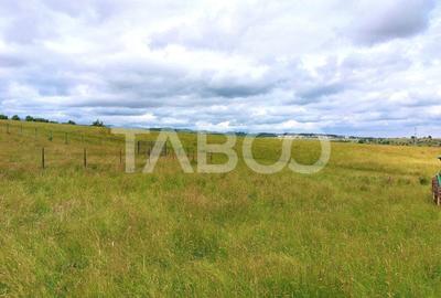 Spațiu comercial, în Central - 3