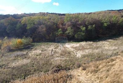 Teren de vanzare zona Wevern, Medias 1.222 mp langa padure - 1