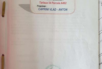 Spațiu comercial, în Pantelimon - 3