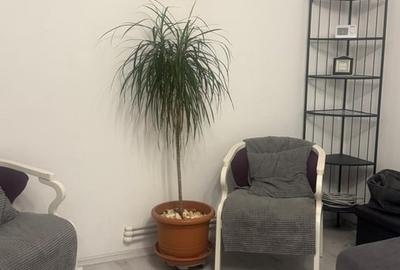 Apartament cu 3 camere decomandat în Lujerului - 16