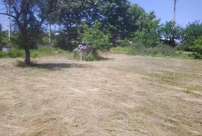 Teren de 4000 mp, în Copăceni
