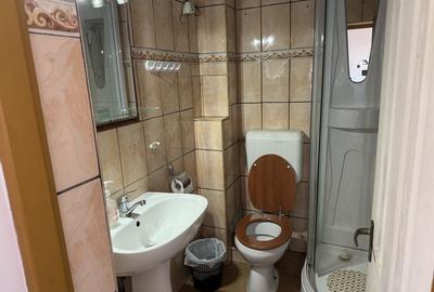 Casa Individuala Becicherecu Mic,P+E,8 Camere,6 Bai,Multiple Anexe - 23