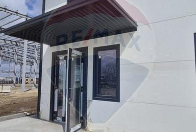 Spațiu industrial, de 2,645 mp, în Balotești - 10