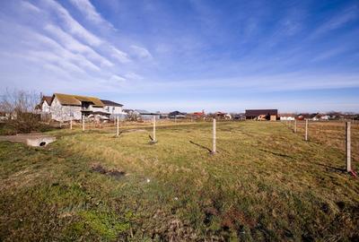 Teren 1028 mp Sanandrei, str. Renasterii – Comision 0% - 19