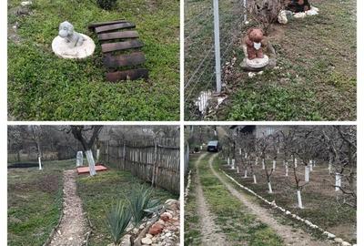 Casă individuală cu 2 camere cu Teren 2800 Mp în Boțești - 5