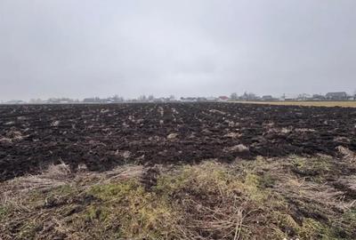 Teren de 3800 mp, în Frătăuții Vechi - 1