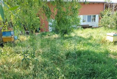 Teren 314 mp, langa Dex, zona Spitalului Regional - 2