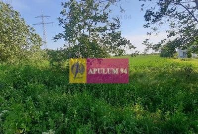 Teren de 5000 mp, în Copăceni - 9