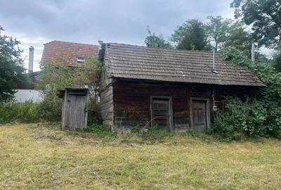 Teren Construcții intravilan de 2352 mp, în Pachia - 6
