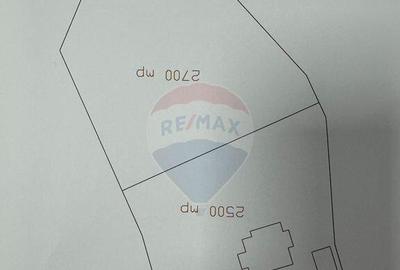 Salsig - PROPRIETATE DEOSEBITA - 2