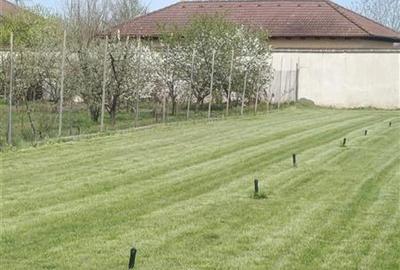 Casă cu 6 camere cu Teren 1350 Mp în Izvorani - 17