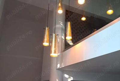De Vanzare! Apartament cu 2 camare tip ''Loft'' in NOA Residence - 10