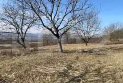 Teren de 20000 mp, în Central - 3