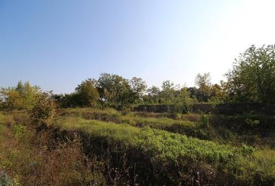 Teren Construcții intravilan de 5963 mp, în Dămăroaia - 11