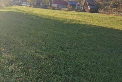 Teren de 3200 mp, în Sadova - 5