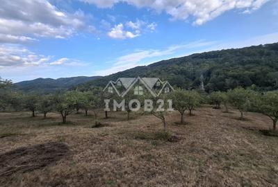 Teren spectaculos cu padure, livada si priveliste panoramica in Soimari PH - 10