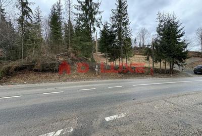 Teren intravilan Colibita-DJ 173 A - 5