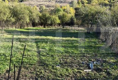 Teren de 2000 mp, în Central - 2