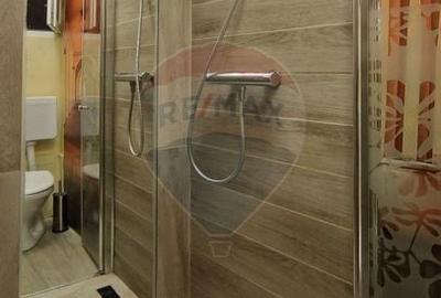 Apartament 2 camere - Bulevardul Ferdinand I,  48mp, Investitie - 14