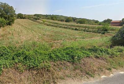 Teren Construcții intravilan de 3000 mp, în Berzasca - 4