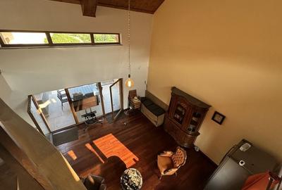 Proprietate cu piscina Dumbravita - 18