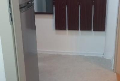 Apartament cu 2 camere semidecomandat, mobilat în Griviței - 7