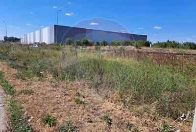 Teren Construcții intravilan de 14000 mp, în Ștefăneștii de Jos - 5