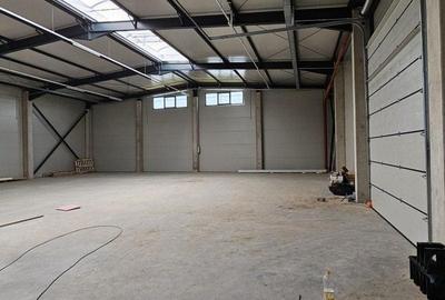 Spațiu industrial, de 595 mp, în Central - 7