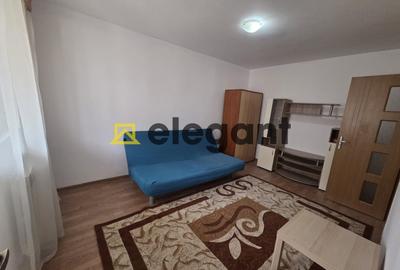 Garsonieră semidecomandată, mobilată în Valea Rosie - 1