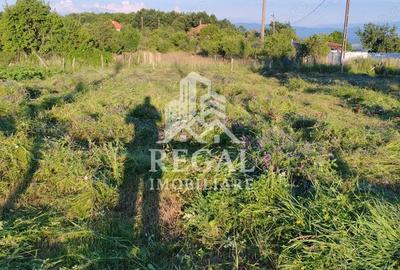 Teren de vanzare in Ghelari 1.262 mp, intravilan - 4