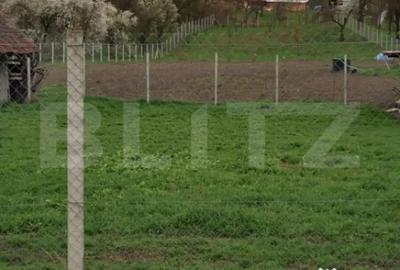 Teren de 3000 mp, în Călărași - 2