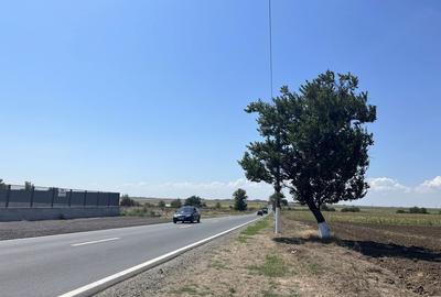 Spațiu comercial, în Năvodari Tabără - 4