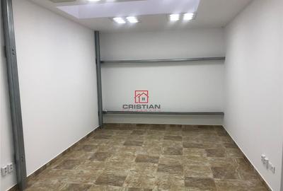 Depozit/hala/spatiu industrial Theodor Pallady - Drumul Int - 9