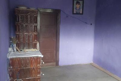 Casă cu Teren 2900 Mp în Țohești - 3