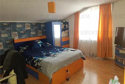 Casa deosebita de vanzare zona tei-pipera - 4