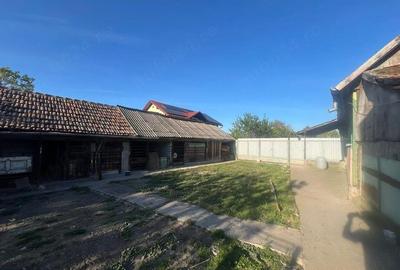 Casă cu 4 camere cu Teren 1430 Mp în Liebling - 5